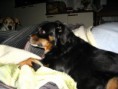 /album/titti/a2009-2-207-jpg/